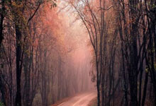 手机网站如何接入支付宝支付功能,网页接入支付宝支付