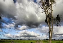 手机网站建设平台,手机网站建设的技巧