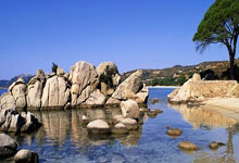 做营销型网站找哪家好,营销网站有哪些